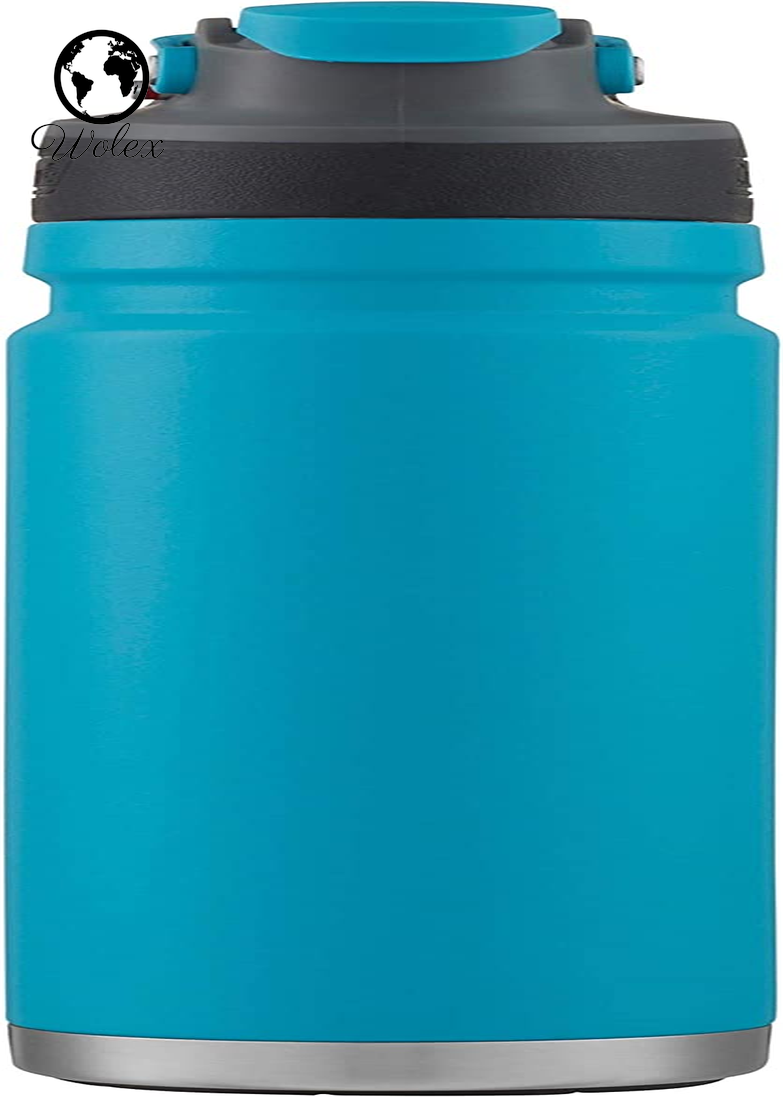 Freeflow Vacuum-Insulated Stainless Steel Water Bottle with Leak-Proof Lid, 24Oz/40Oz Bottle with Button-Operated Lid & Carry Handle, Keeps Drinks Hot or Cold for Hours